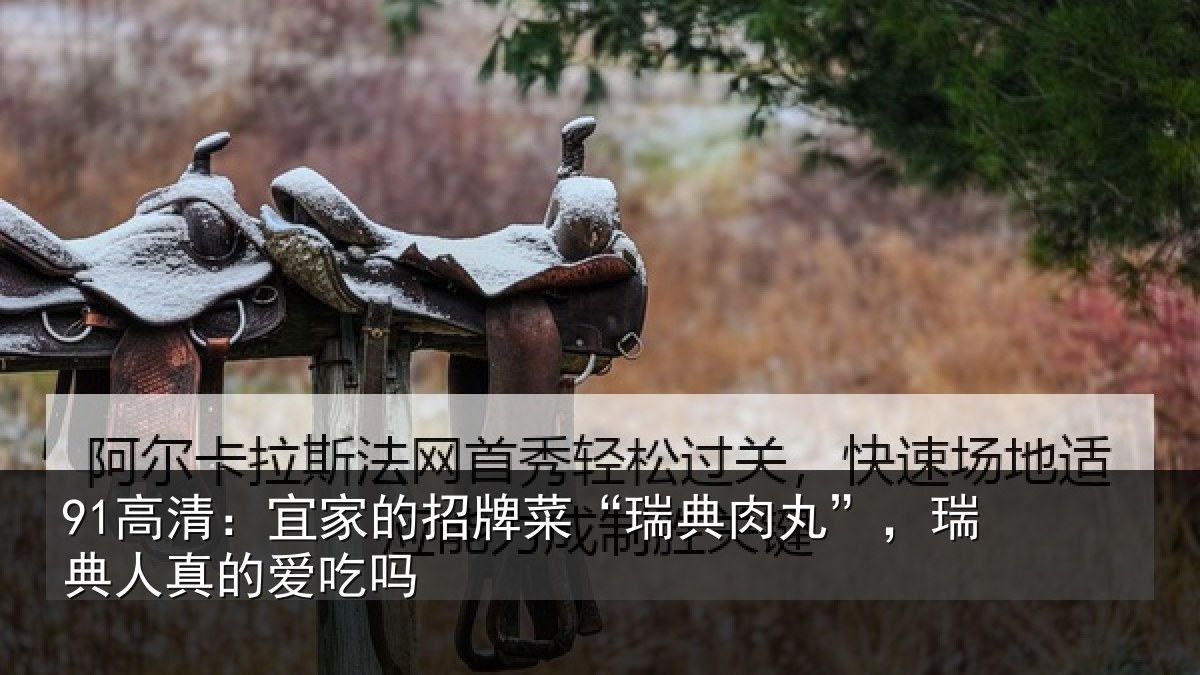 91高清:宜家的招牌菜“瑞典肉丸”,瑞典人真的爱吃吗