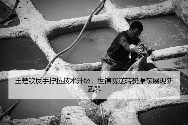 王楚钦反手拧拉技术升级，世锦赛逆转樊振东展现新武器