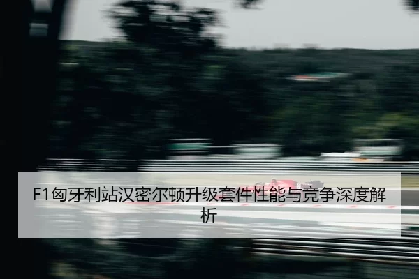 xiong-ya-li-zhan-han-mi-er-dun-sheng-ji-tao-jian-xing-neng-yu-jing-zheng-shen-du-jie-xi-2-595.jpg