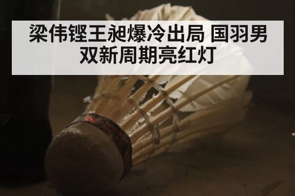 梁伟铿王昶爆冷出局 国羽男双新周期亮红灯